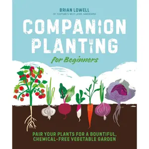 Companion Planting for Beginners: Pair Your Plants for a Bountiful, Chemical-Free Vegetable Garden