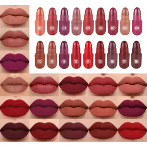 Capsule Pills Lipstick Mini Lip-Stick Set, Long Lasting Mini Matte Lipstick Lip Stain Lip Tint - Labiales Mate 24 Horas Originales, Cute Dark Red Matte Lipsticks Set for Women
