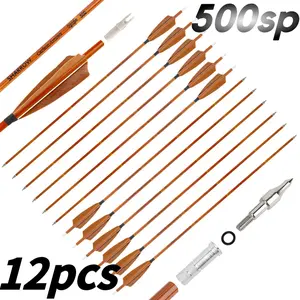 12pcs Mixed Carbon Arrows, 500 Spine, 4-inch Fletching, with Arrowheads, Universal for Beginners and Experienced Archers, Suitable for Indoor & Outdoor Archery and Daily Practice, Outdoor Sporting Goods.