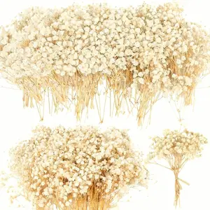 4700+ Mini Dried Babys Breath Flowers, 90+Pcs Ivory White Baby Breath Flower Bulk, Dried Flowers for Crafts, Wedding Decor Boho Invitation, Resin Candle Making, Dry Babies Flowers, Rustic Gypsophila