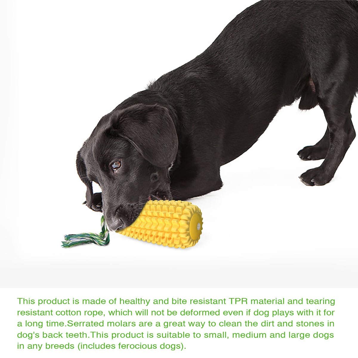 Natural Rubber Corn Dog Toy, Bite-Resistant Squeaky Chew Toy, Teething Training Accessory for Dogs of All Sizes