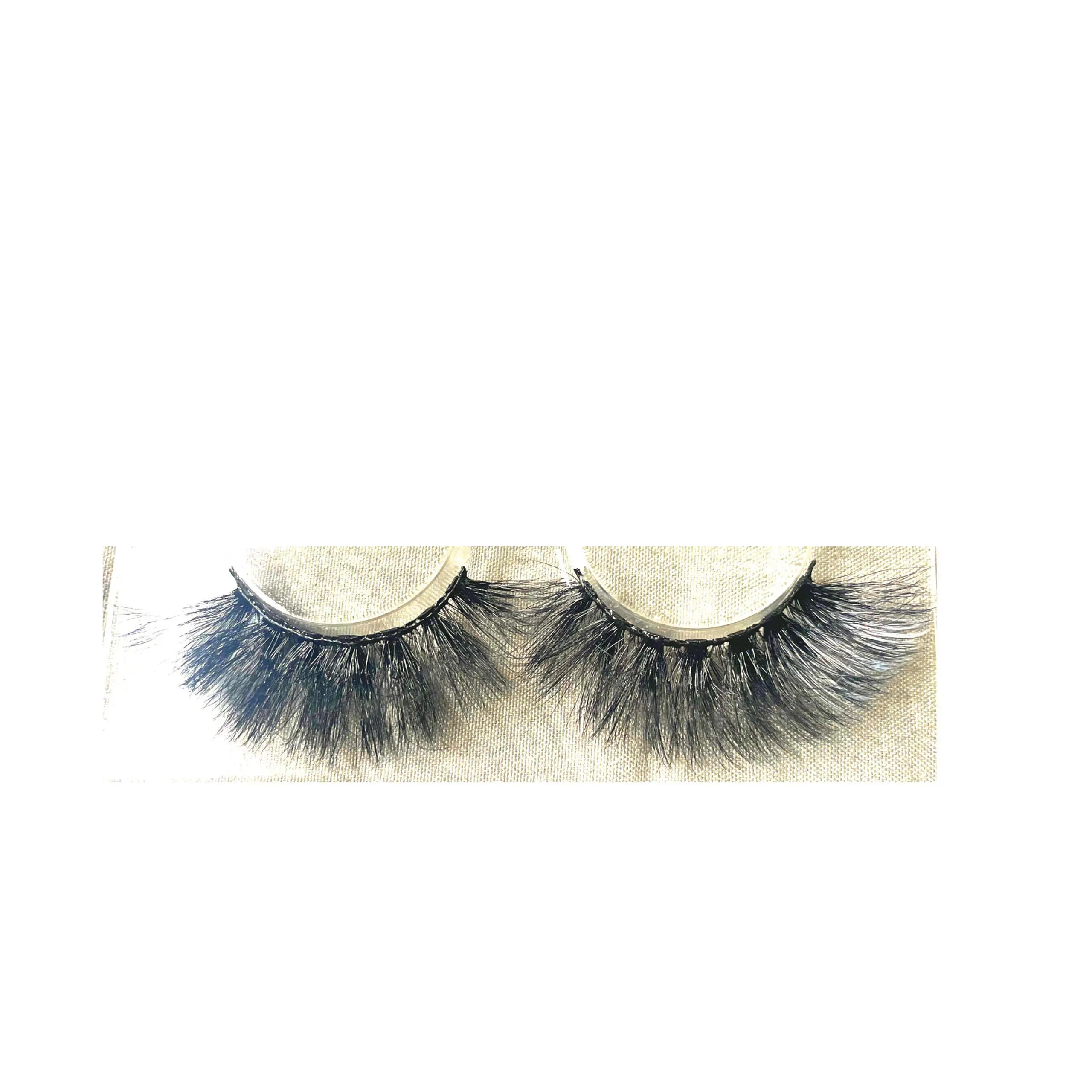 Ivory(White Lash)