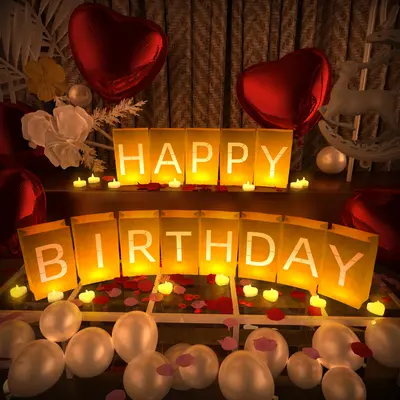 Will You Be My Girlfriend Light Up Letters - 21 Paper Bags With 72 LED Candles & 6000 Rose Petals