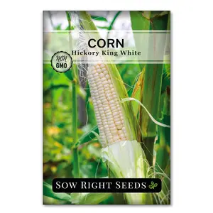 Hickory King White Corn