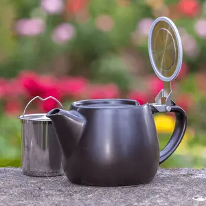 Pluto Ceramic 18oz Teapot with Infuser - Black