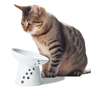 Tilted Stress Free Raised Cat Food Bowl(Cat)