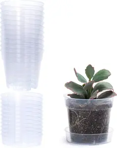 4 Inch Clear Plastic  Pot with Drainage Holes, Interlocking & Detachable Tray - Deep  - Durable  Plastic, Transparent Design, Raised Base for Airflow, Set of 12, 92-X-B-2