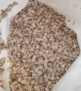 Mammoth Grey Stripe Sunflower Seeds 1oz