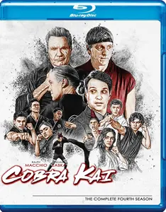 Cobra Kai - Season 4 - Blu Ray (2 Disc Set)