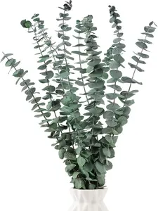 10 Pcs Dried Eucalyptus Stems 17" Real Eucalyptus for Shower Hanging 100% Made from Fresh Eucalyptus Leaves, Wedding Decor Home Decor Farmhouse Decor DIY Spring Decor,Green. Dried Flowers