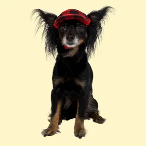 PupLid Camper Hats for Dogs All Seasons Buffalo Plaid Iconic Style Outfits Outdoor DogAccessories