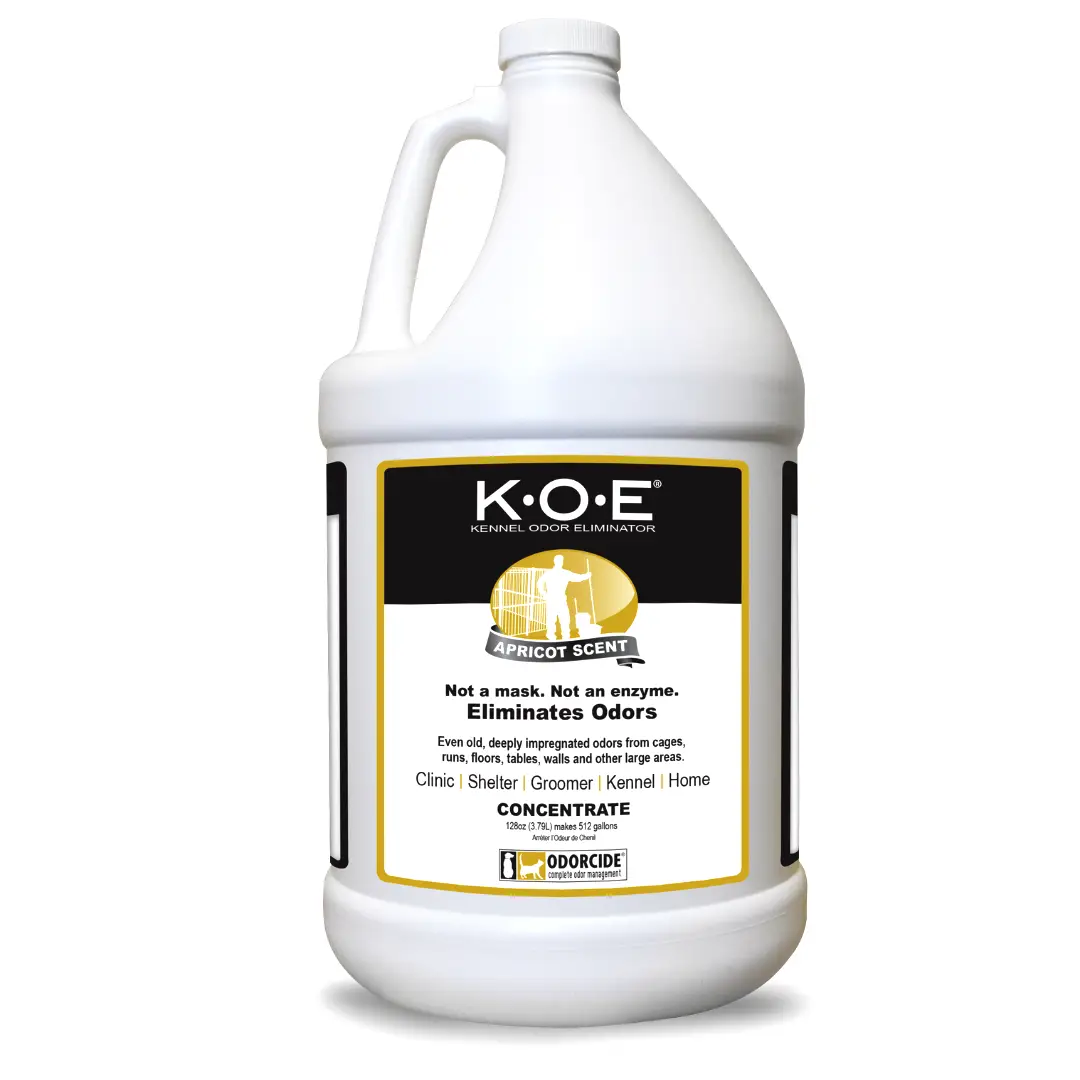 KOE Odor Eliminator 1 Gallon Concentrate – K.O.E. Odor Remover for Strong Odor for Cages, Runs & More (Apricot, Fresh, Original)