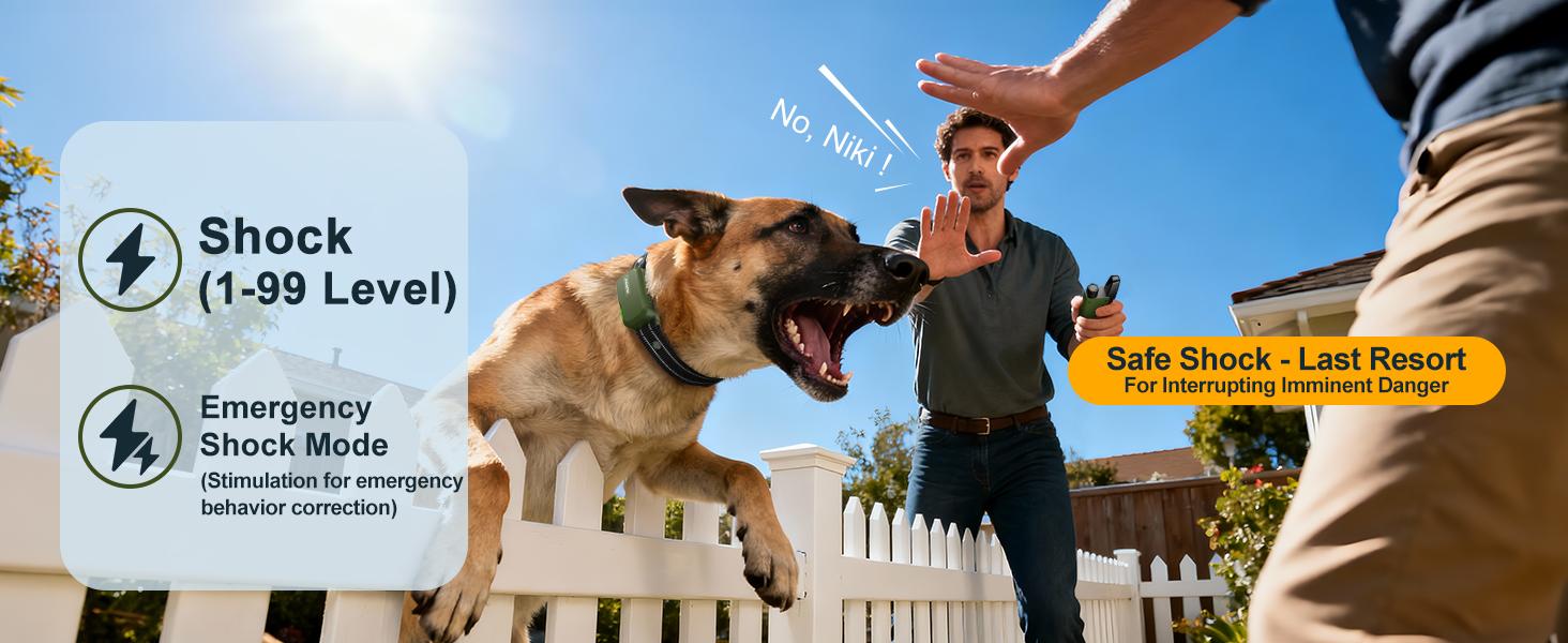 Jugbow Dog Training Collar - 4500FT with Remote, 4 Training Modes, Security Lock, IPX8 Waterproof, Rechargeable e-Collar for All Breeds DT61 Outdoor