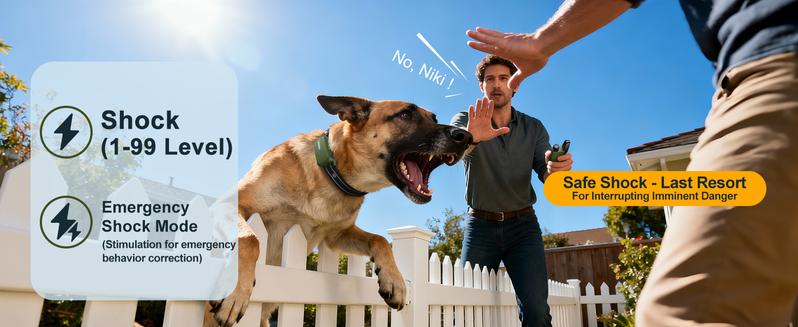 Jugbow Dog Training Collar - 4500FT with Remote, 4 Training Modes, Security Lock, IPX8 Waterproof, Rechargeable e-Collar for All Breeds DT61 Outdoor