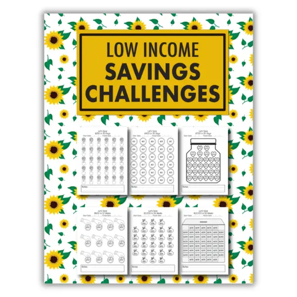 Summer Spring Gift Low Income Savings Challenges Book: 100+ Unique and Interactive Money Saving Challenge Book with Variety of Savings Challenges from $100 to $25000 | ... and 52 Weeks Savings Tracker With Envelopes