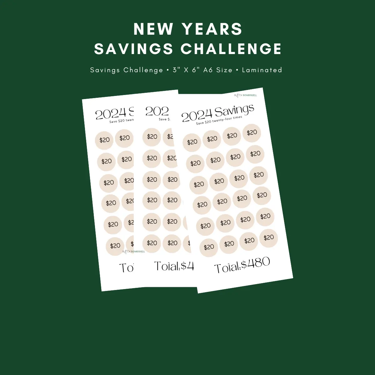 NEW YEARS SAVINGS CHALLENGE | A6 ZIPPER CASH ENVELOPE +TRACKER