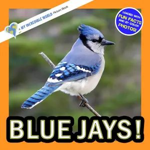 Blue Jays! A My Incredible World Picture Book for Children