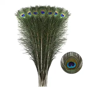Long Peacock Feathers - 40 count 23-28 inches for Floral Arrangements, Wedding,  and Party Decorations