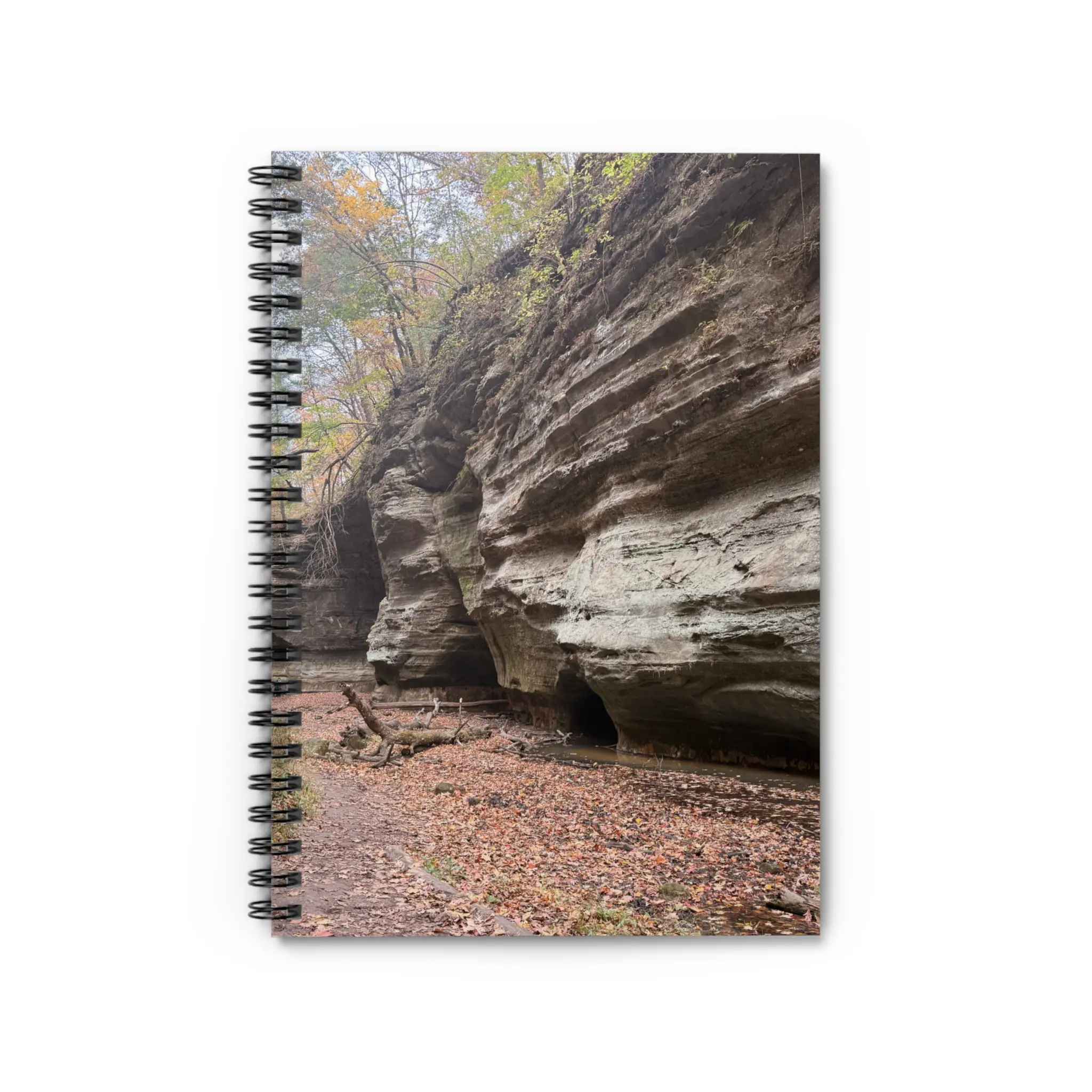 Nature-Inspired Spiral Notebook, Perfect for Journaling, Sketching, and Note-Taking, Gift for Nature Lovers, Autumn Vibes