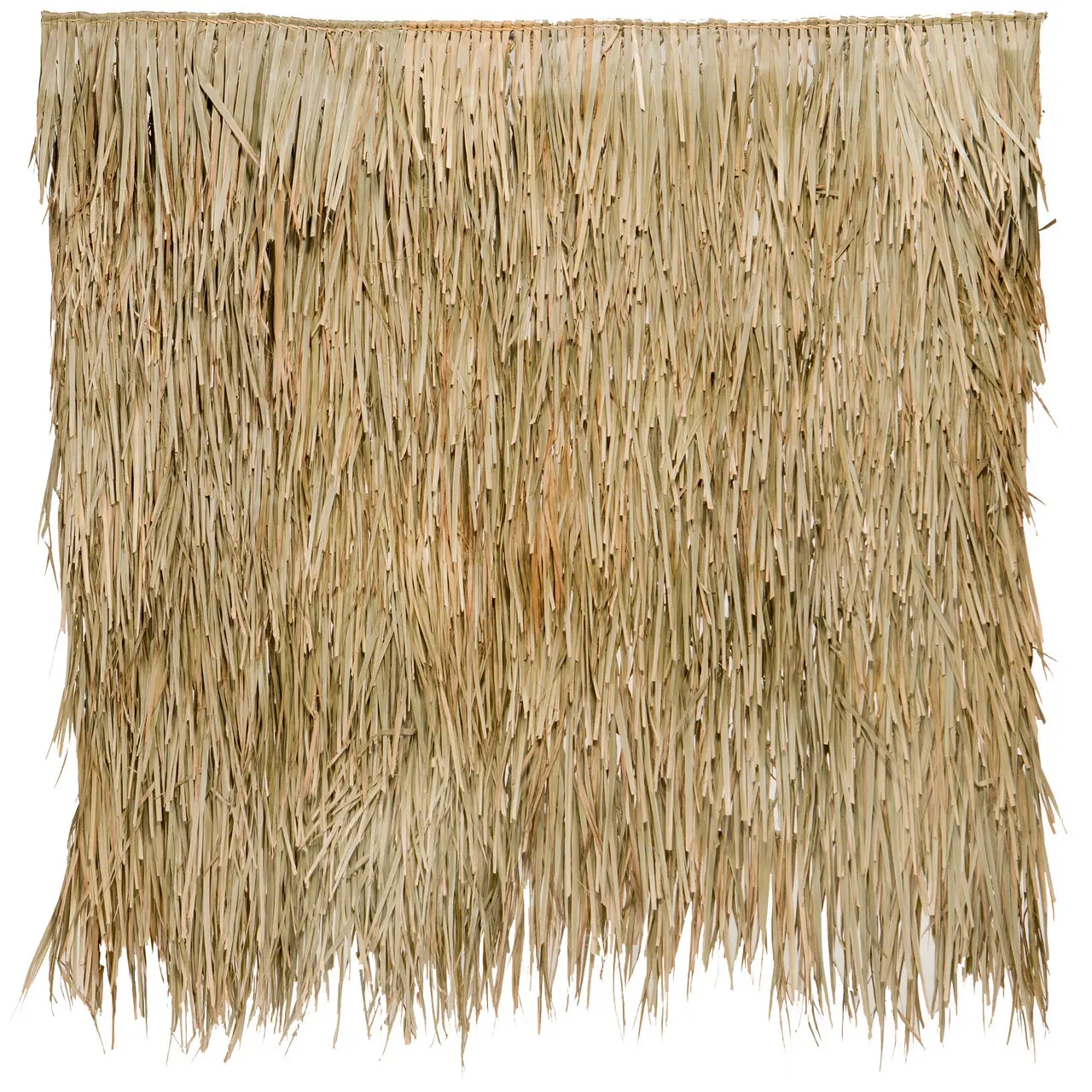 4x8 Foot Mexican Palm Thatch Palapa/Tiki Hut Roofing