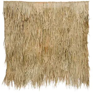 4x8 Foot Mexican Palm Thatch Palapa/Tiki Hut Roofing