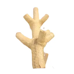 authentic fossilized cactus table piece
