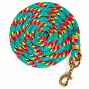 Jeffers Neon Poly Lead Rope with Bolt Snap, 8'