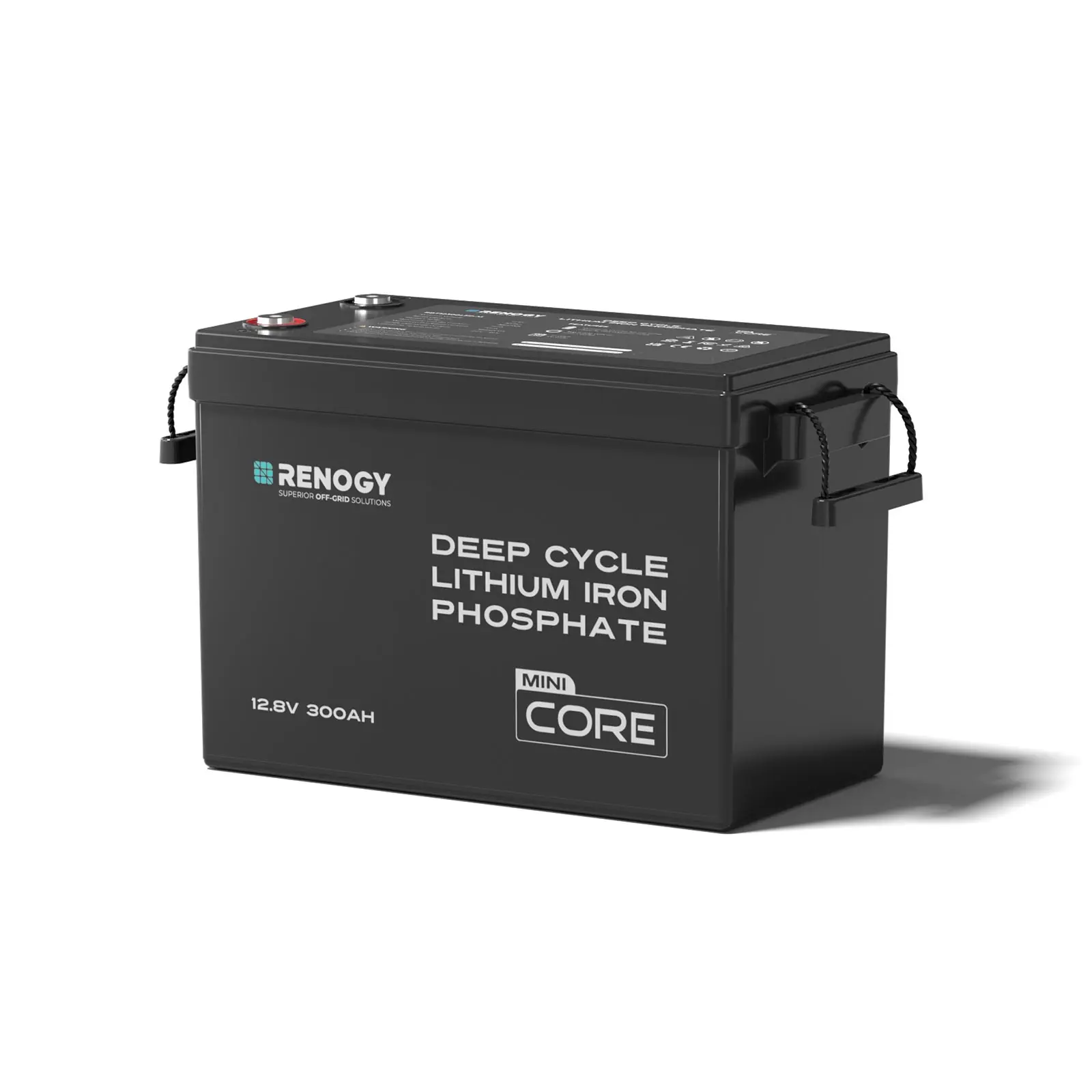 Renogy 12V 300Ah LiFePO4 Lithium Battery | 200A BMS, Deep Cycle, Remote Monitoring for RVs, Marine & Home - Core Series Backup Power