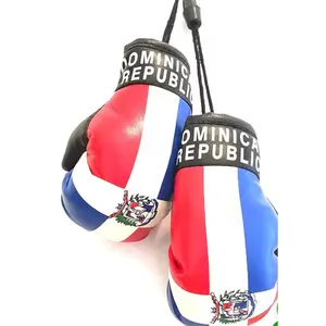 DR mini Boxing Gloves
