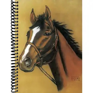 Horse Notebook