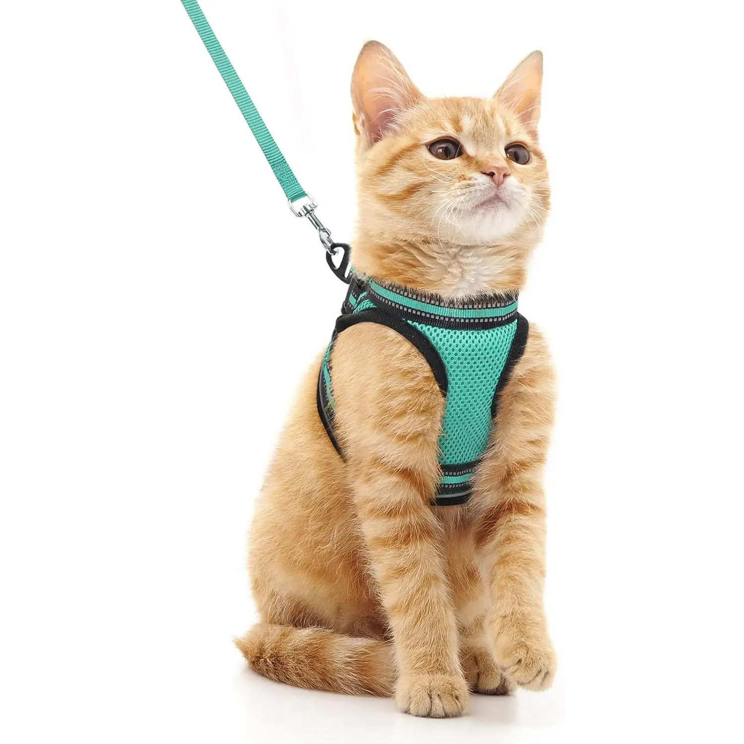 Escape Proof Mesh Cat Harness with Matching Leash, Soft Breathable Vest Style Kitten Walking Harness, Adjustable Lightweight No Choke Pet Gear for Indoor Outdoor Cats
