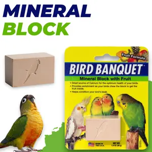 Fruit Bird Banquet Block Small with Mango Papaya Banana Pineapple - Natural Chew Treat for Parakeets Cockatiels Finches Canaries - Available in 1 Pack or 4 Pack