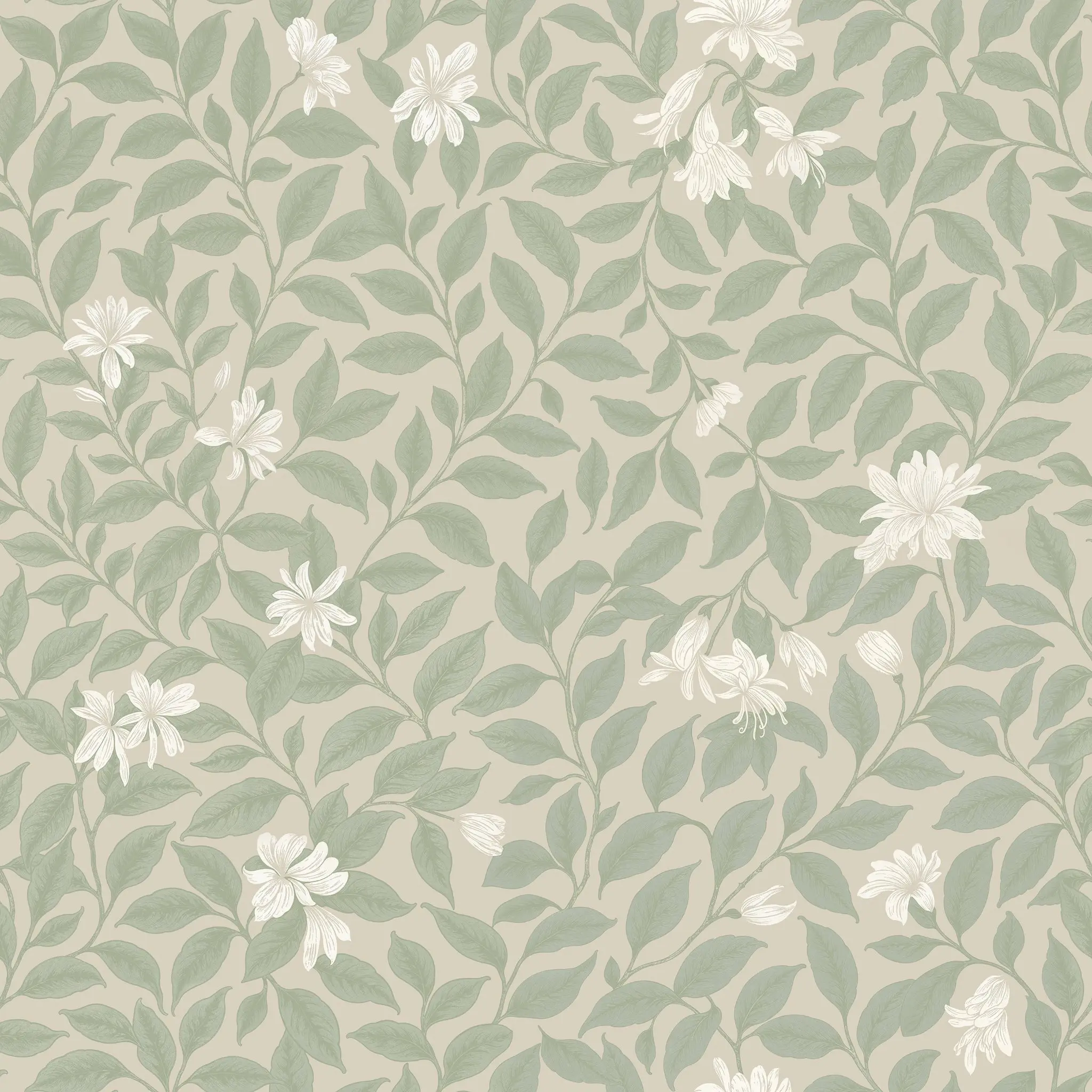 Poppy Honeysuckle Small Cream Wallpaper, 30 ft (h) x 19 in (w) Floral Design, Ideal for Renters' Accent Walls & Entryways