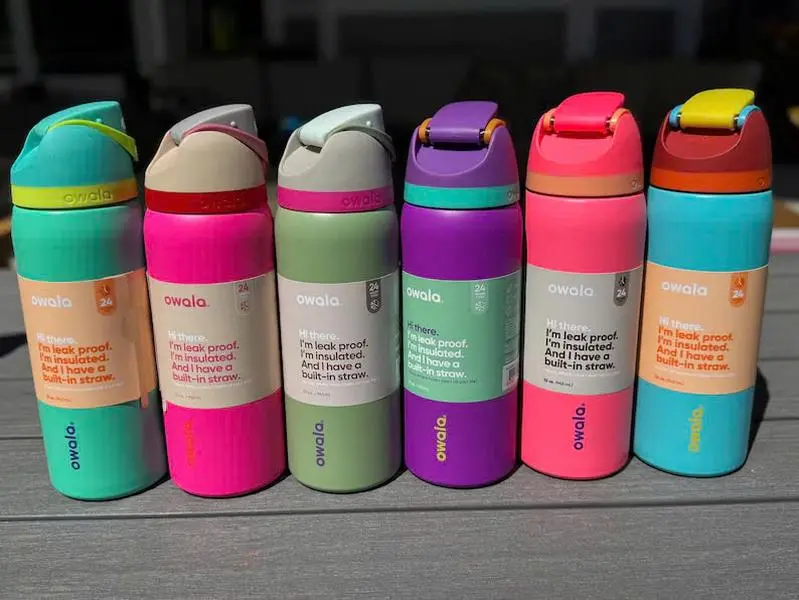 Owala 32oz Insulated Stainless Steel Water Bottle