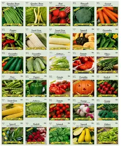 30 Packs of Deluxe Valley Greene Heirloom Vegetable Garden Seeds Non-GMO(Guaranteed 30 Different Varieties as Listed)