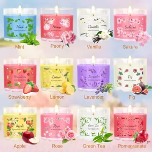Scented Candles for Home, 12 Pack Candle Set for Women, Small Soy Candles Bulk, Mothers Day Gifts from Daughter - Mini Candle Gift Set for Bridesmaid Anniversary Birthday Valentines Christmas