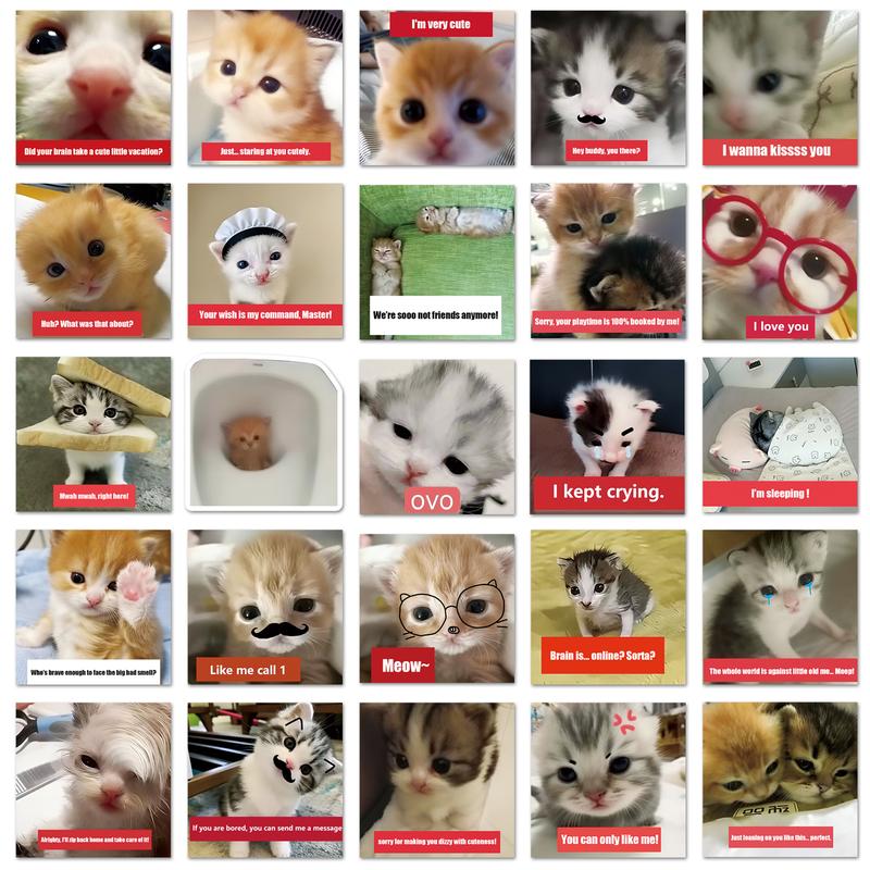 50 Pcs Stickers Aesthetic Cat Meme Kawaii Healing Kitty Decals for Water Bottle Laptop Journal Phone Sticker Shopping Cute Gift Ideas Valentine's Day