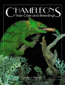 USED-Chameleons: Their Care and Breeding by Linda Davison (Paperback)