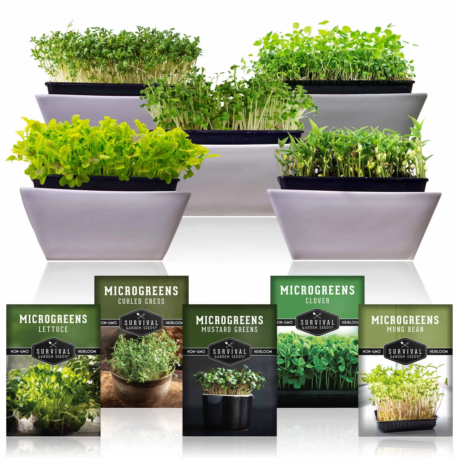 Microgreens Seeds 5 Pack - Grow Healthy Plants at Home Microgreens Seeds 5 Pack - Grow Healthy Plants at Home