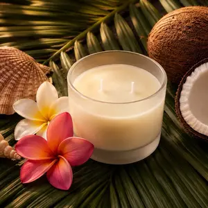 Coconut Island Dreams