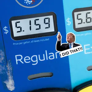 I Did That Trump Sticker | Pointing Sticker | Vinyl Sticker | Water Resistant | 1.5" x 1.5" | Anti Trump | Meme Sticker | Fdt