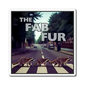 Abbey Road Style Fridge Magnets - Cute Raccoon Magnets with Vibrant Colors & Matte Finish, Long Lasting Laminated Magnetic for Lightweight Design