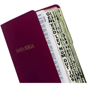 Spanish Bible Index Tabs – Large Print Gold-Edged Tabs for Old & New Testaments, 84 Tab Set with 64 Book Tabs & 20 Reference Tabs