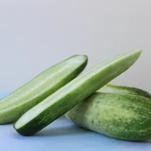 Ashley Cucumber Organic Seeds (Cucumis sativus) – Classic slicing cucumber that thrives in humid regions, offering crisp, dark green fruits all summer long.