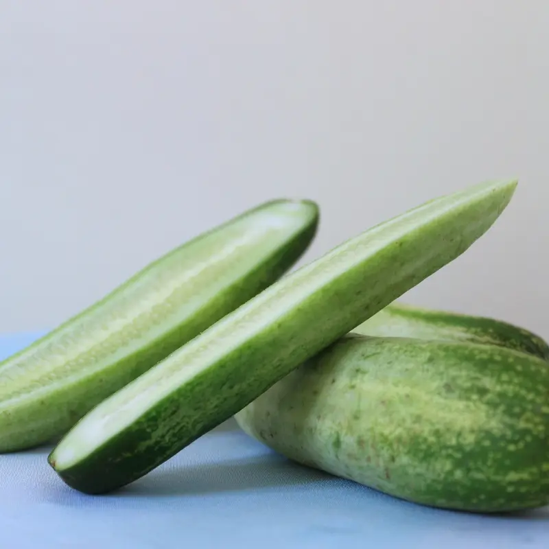 Ashley Cucumber Organic Seeds (Cucumis sativus) – Classic slicing cucumber that thrives in humid regions, offering crisp, dark green fruits all summer long.