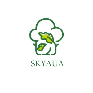 SKyaua