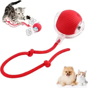 Gift for Pets, Electric Cat Ball Toy with Rope Interactive Cat Teaser Toy, Kitten Automatic Rolling Ball Toy, Pet Supplies, Dog & Cat Accessories, Cat Toys, Pet Products​