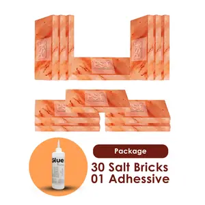 Pink Salt Bricks Pack of 30 With 1 Free Adhesive - Himalayan Bricks