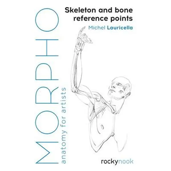 Morpho: Skeleton and Bone Reference Points - Anatomy for Artists with Human Figure Drawing Ideas, Paperback by Michel Lauricella