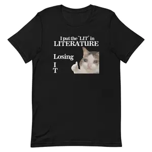 I Put the LIT in LITerature Unisex t-shirt